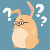 hopperapp confused bunny GIF