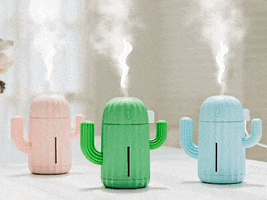 GIF by Powderly