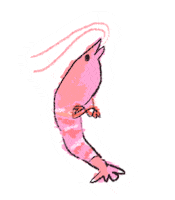 susizuman yes かわいい shrimp エビ Sticker