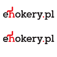 eHokery mikołaj gockowiak meble loftowe ehokery Sticker