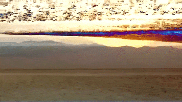 Beach Color GIF by Sam Gendel