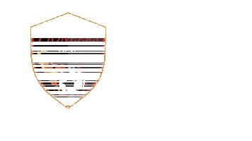 United Soccer League Sticker by USL