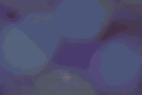 barbie GIF