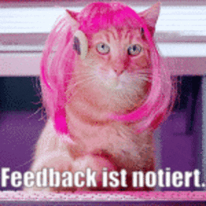 unsereoebb giphyupload cat katze oebb GIF