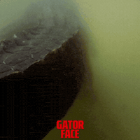 Florida Tail GIF by Signature Entertainment