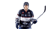 Hockey Ice Sticker by Les Ducs d'Angers
