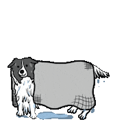 Dog Bath Sticker by LeapEarsFurnature