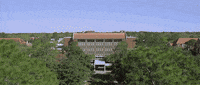 french fries uf GIF by University of Florida