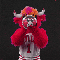 Red Bull Yes GIF by Chicago Bulls