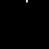 pitt_jamhoury animation tech colorful apple GIF