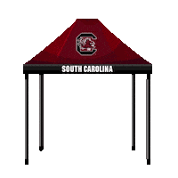 Football Sc Sticker by University of South Carolina