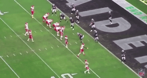 taccido giphygifgrabber GIF