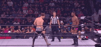 All Elite Wrestling GIF by AEWonTV