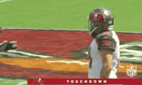 2018 Nfl Football GIF by NFL