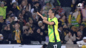 Celebration Goal GIF by Football Australia
