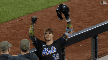 Major League Baseball Sport GIF by New York Mets