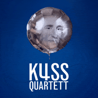 KussQuartett classicalmusic haydn stringquartet kussquartet GIF