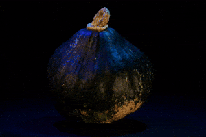 Sad Squash