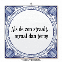 Humor Reflectie GIF by Tegelspreuken.nl