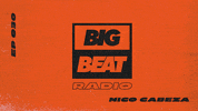 wearebigbeat dance music house edm GIF