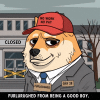 Sad Shiba Inu GIF by Doge Pound