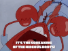 season 1 sandy's rocket GIF by SpongeBob SquarePants