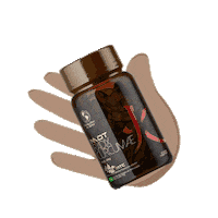 Mdt Sticker by Maravilhas da Terra Oficial