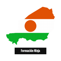Niger Flag Sticker by Formación Ninja