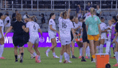 Womens Soccer Dance GIF by National Women's Soccer League