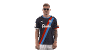 2 Bundesliga What Sticker by Holstein Kiel