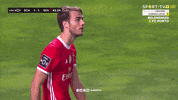 Sl Benfica Slbgifs GIF by Sport Lisboa e Benfica