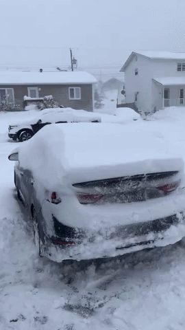 Local Resident Captures Snowy Sunday on Newfoundland and Labrador's Bonavista Peninsula