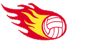 southcoastblaze netball southcoastblaze nnswpremierleague blazeball Sticker