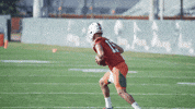 miamihurricanes football american football canes quarterback GIF