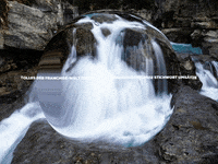 Happy Laugh GIF by FranchiseONE.de