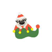 Christmas Santa Sticker