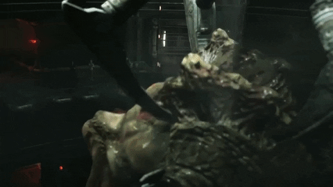 Fathara giphygifmaker GIF