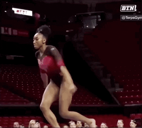 Excited University Of Maryland GIF by Maryland Terrapins