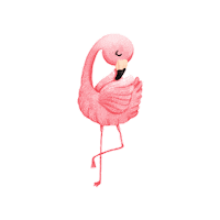 Miami Flamingo Sticker by 305 Pink Pack