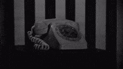 Aafb GIF by DUCKWRTH