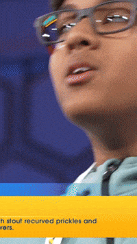 Spelling Bee Omg GIF by Scripps National Spelling Bee