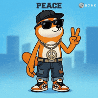 Sunglasses Baggy Pants GIF by BONK