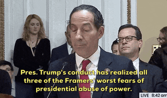 news impeachment jamie raskin articles of impeachment house rules committee GIF