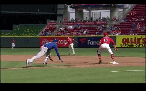 kris bryant GIF
