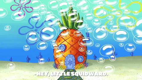 season 9 episode 3 GIF by SpongeBob SquarePants