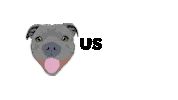 Staffy Sticker by Two Tibetans Digital