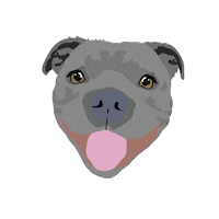 Dog Staffy Sticker by Two Tibetans Digital