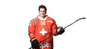 Celebrate National Team Sticker by Swiss Ice Hockey