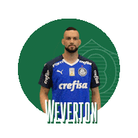 soccer come here Sticker by SE Palmeiras