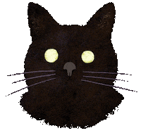 Cat 黑貓 Sticker